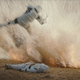 Image for article titled So You Want To Join The Empire: What We Learned About Those Rogue One Troopers in 13 Pictures